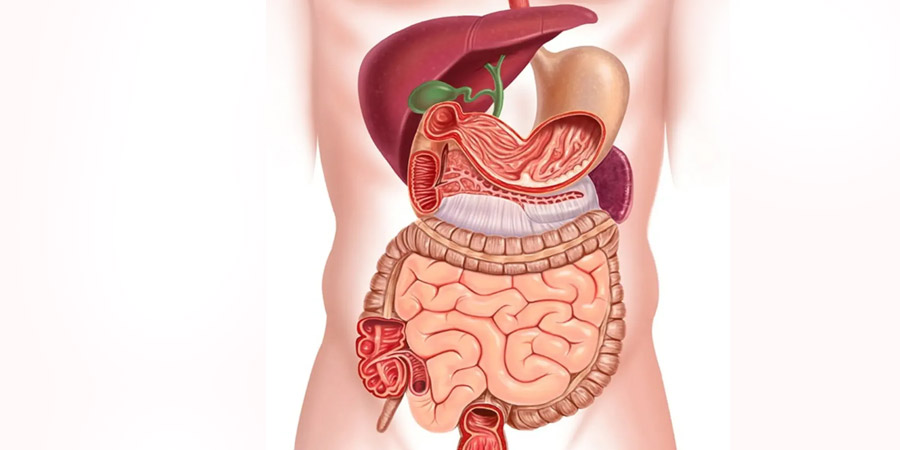 Gastroenterology Virtual Assistant