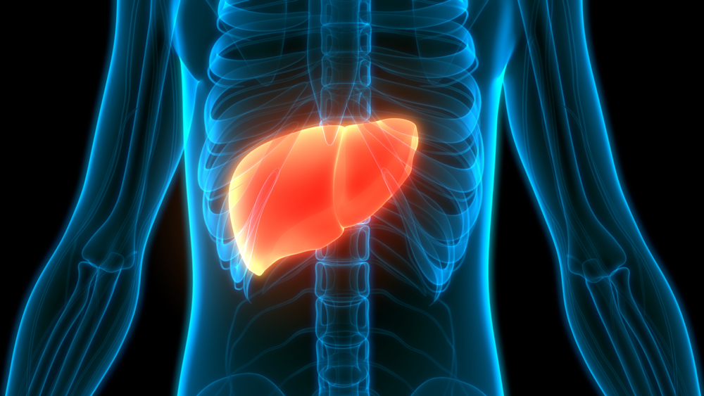 Hepatology Virtual Assistant