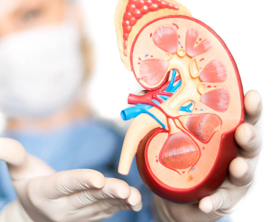 Nephrology Virtual Assistant