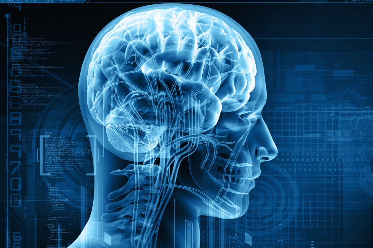 Neurology Virtual Assistant