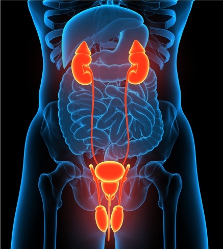 Urology Virtual Assistant